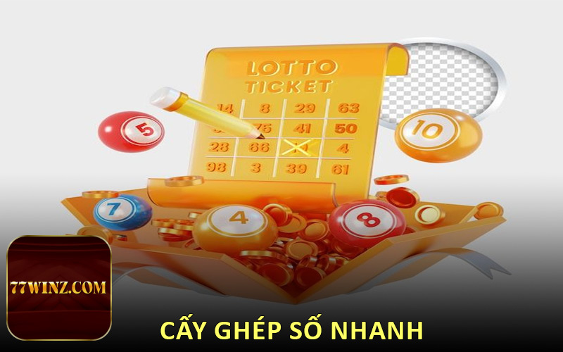 Cấy ghép số nhanh