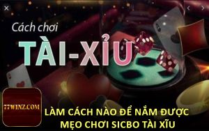 Làm cách nào để nắm được mẹo chơi Sicbo Tài Xĩu